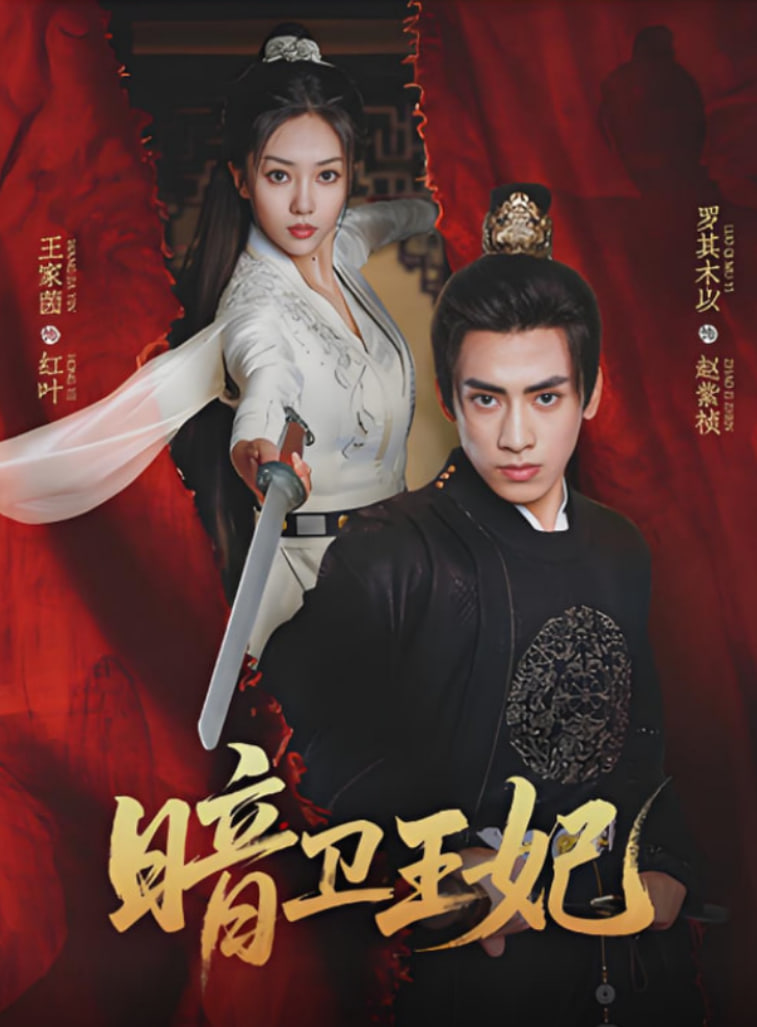 暗卫王妃封面图