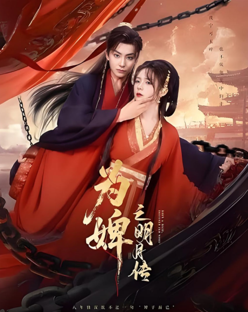 为婢之明月传封面图