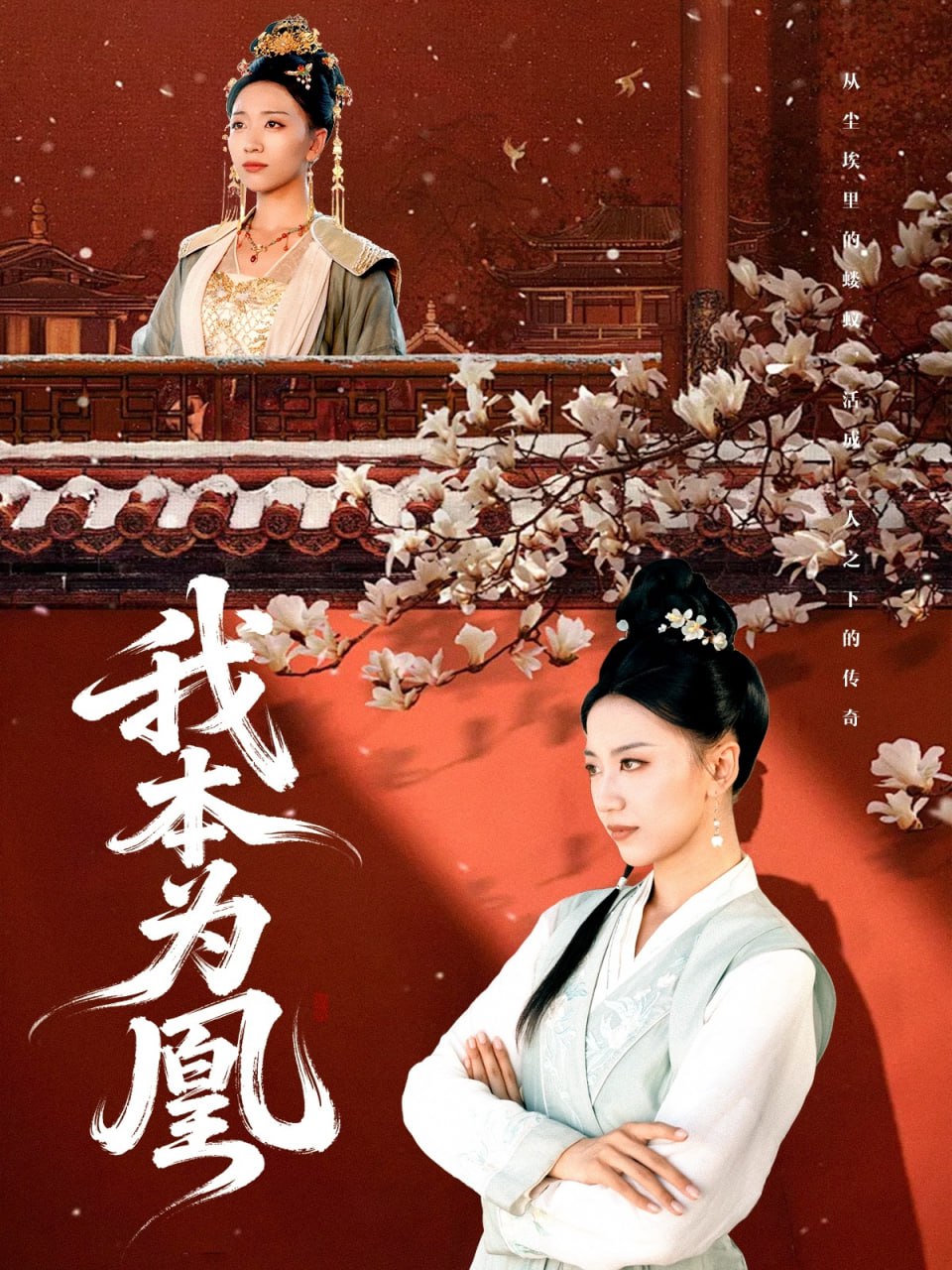 我本为凰封面图