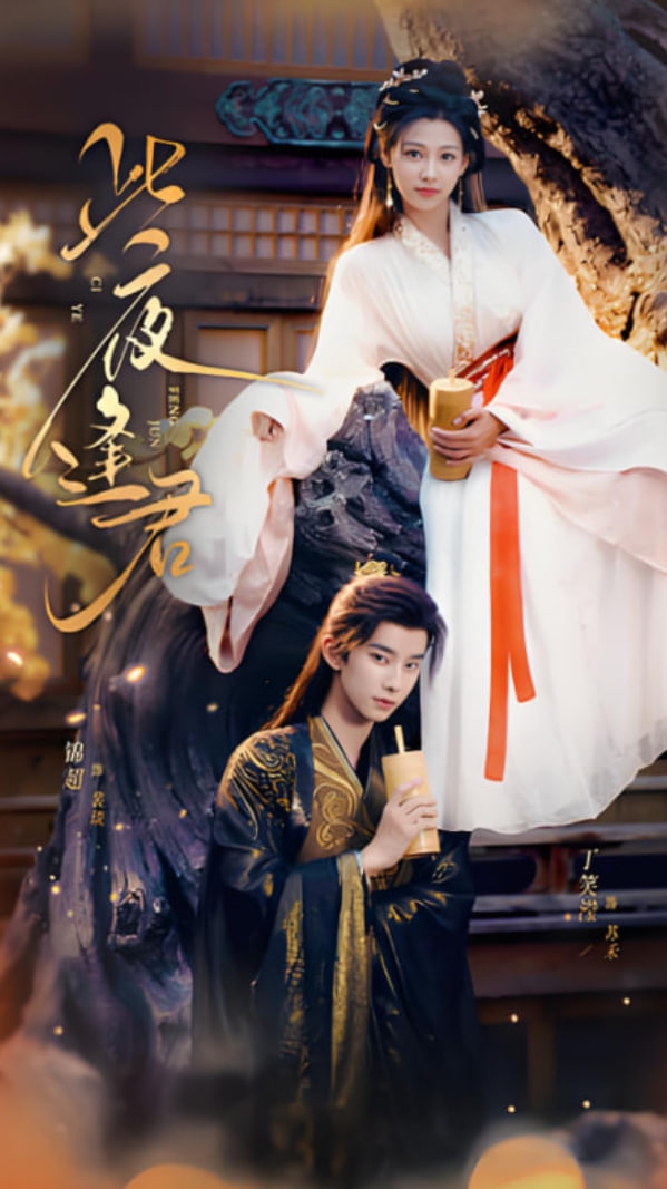 此夜逢君封面图