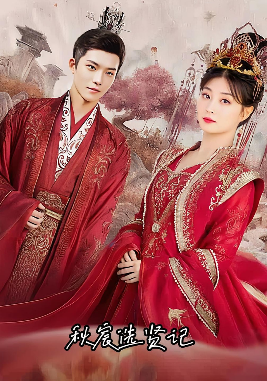 秋宸选贤记封面图