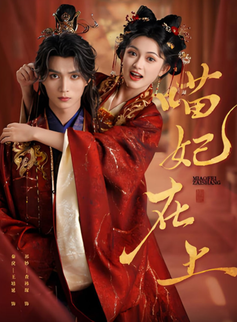 喵妃在上封面图