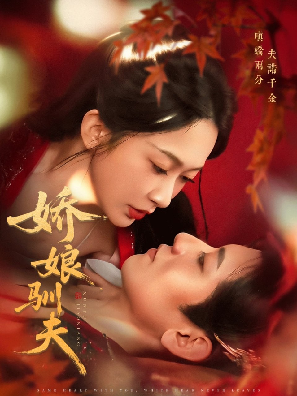 娇娘驯夫封面图