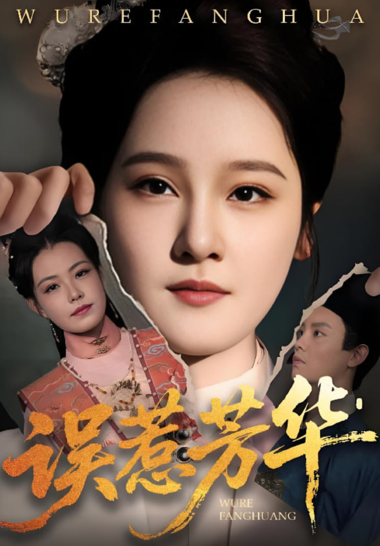 误惹芳华封面图