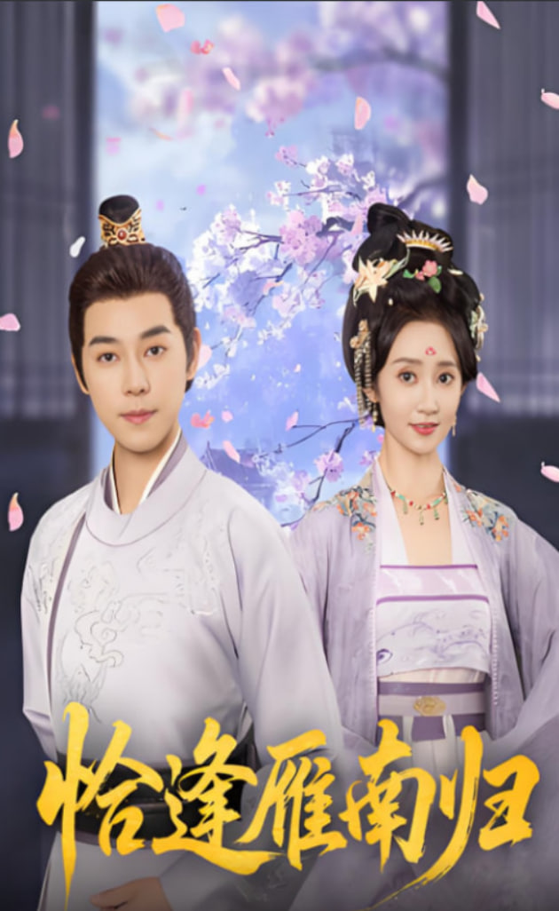 恰逢雁南归封面图