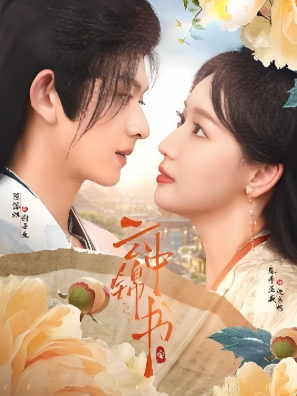 云中锦书封面图