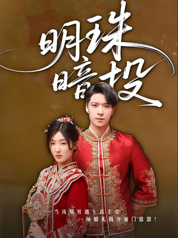 明珠暗投封面图