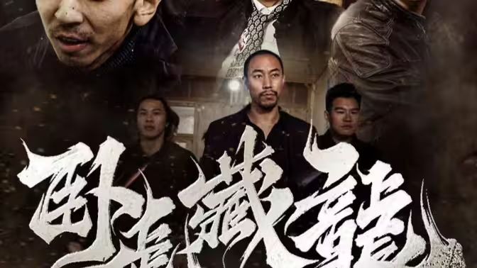 卧虎藏龙封面图