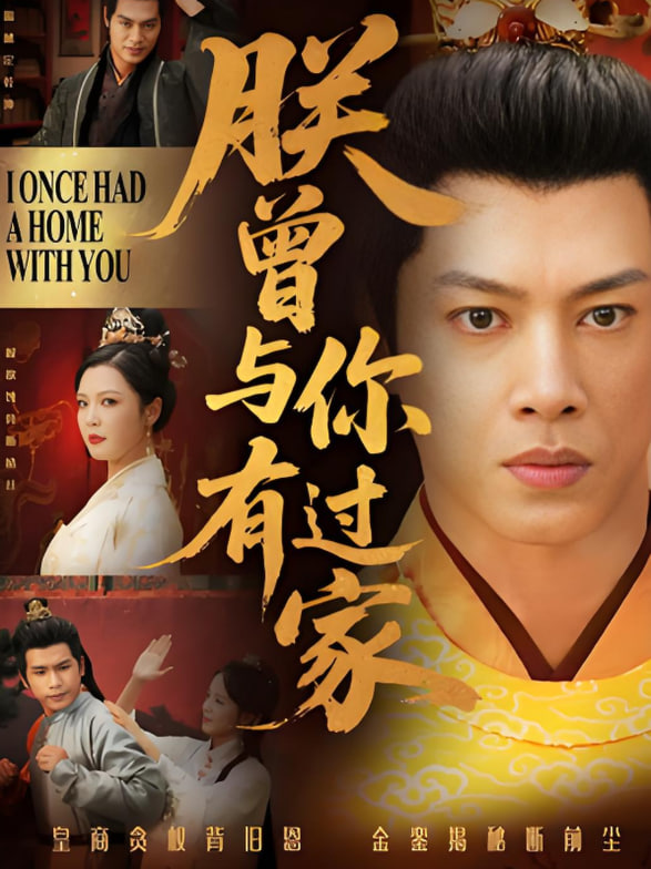 朕曾与你有过家封面图