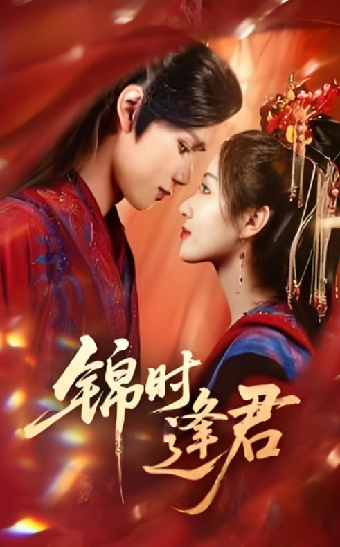 锦时逢君封面图