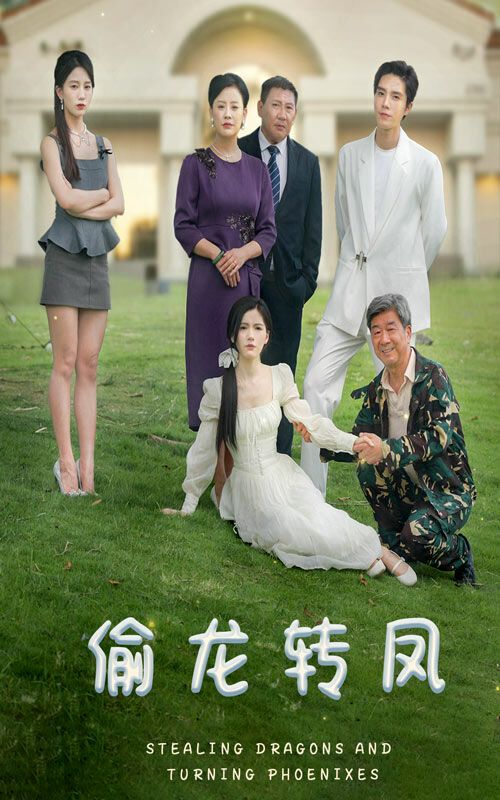 偷龙转凤封面图