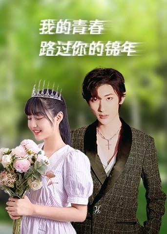 我的青春路过你的锦年封面图