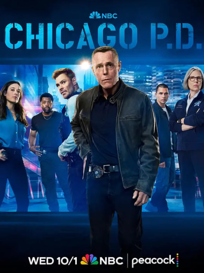 芝加哥警署 第十三季封面图