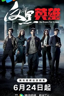 反黑英雄 普通话版封面图