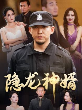 隐龙神婿封面图