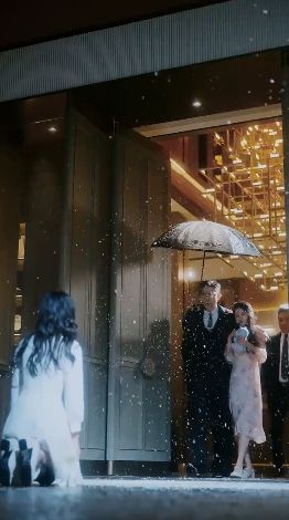 沈总夫人她罪不至死封面图