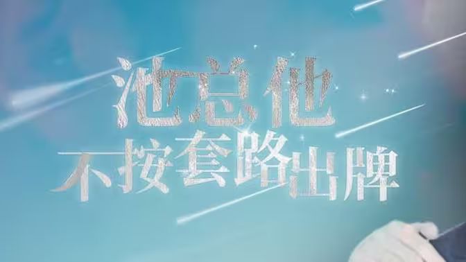 池总他不按套路出牌封面图