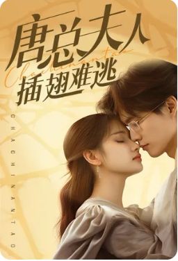 唐总夫人插翅难逃封面图