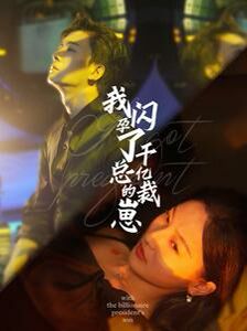 我闪孕了千亿总裁的崽封面图