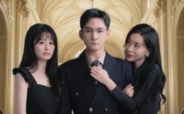 许总的秘密恋人封面图