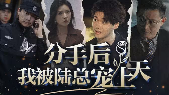 分手后，我被陆总宠上天封面图