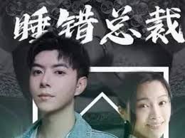 睡错总裁狂宠妻封面图