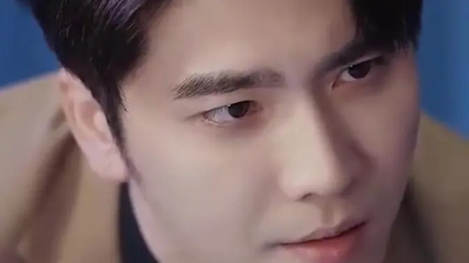 叶总来生不愿再相见封面图