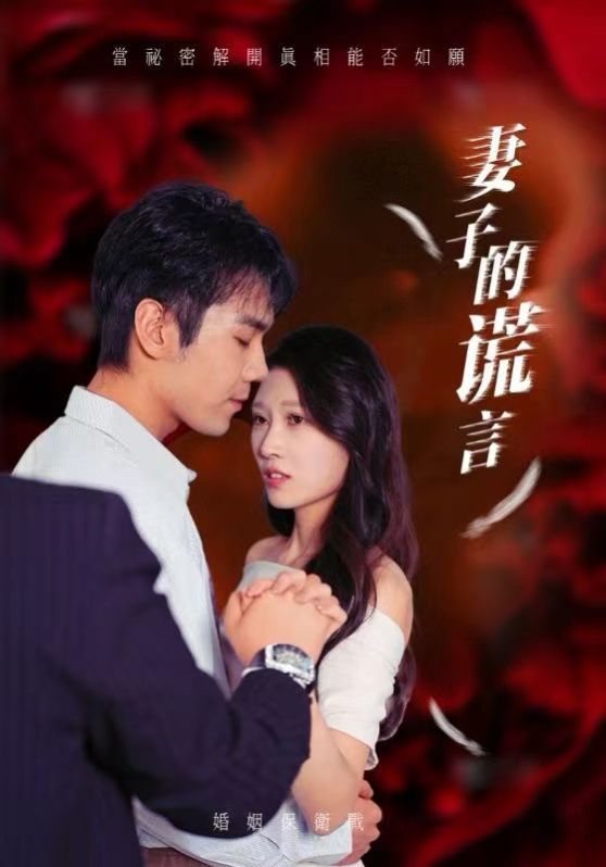 妻子的谎言封面图