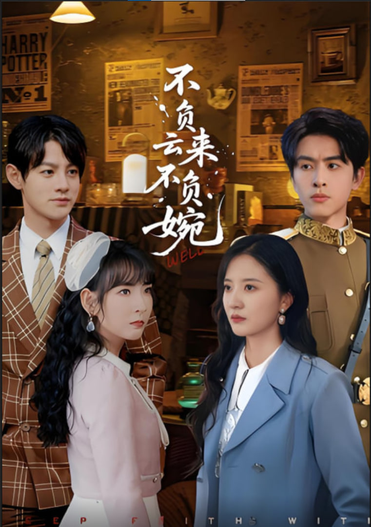 不负云来不负婉封面图