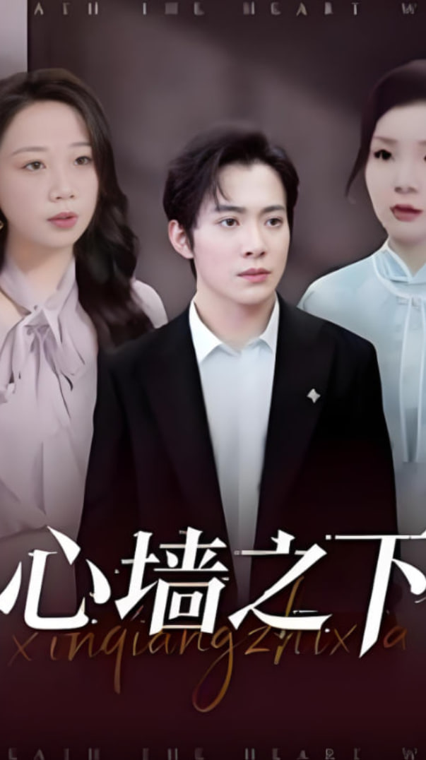 心墙之下封面图
