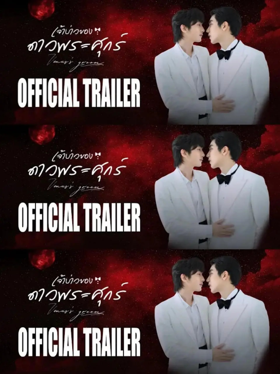 维纳斯的新郎封面图