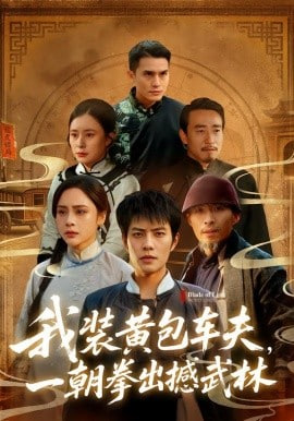 我装黄包车夫，一朝拳出撼武林封面图