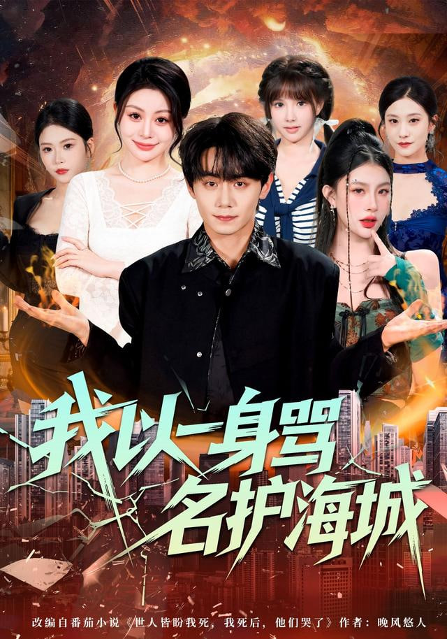 我以一身骂名护海城封面图