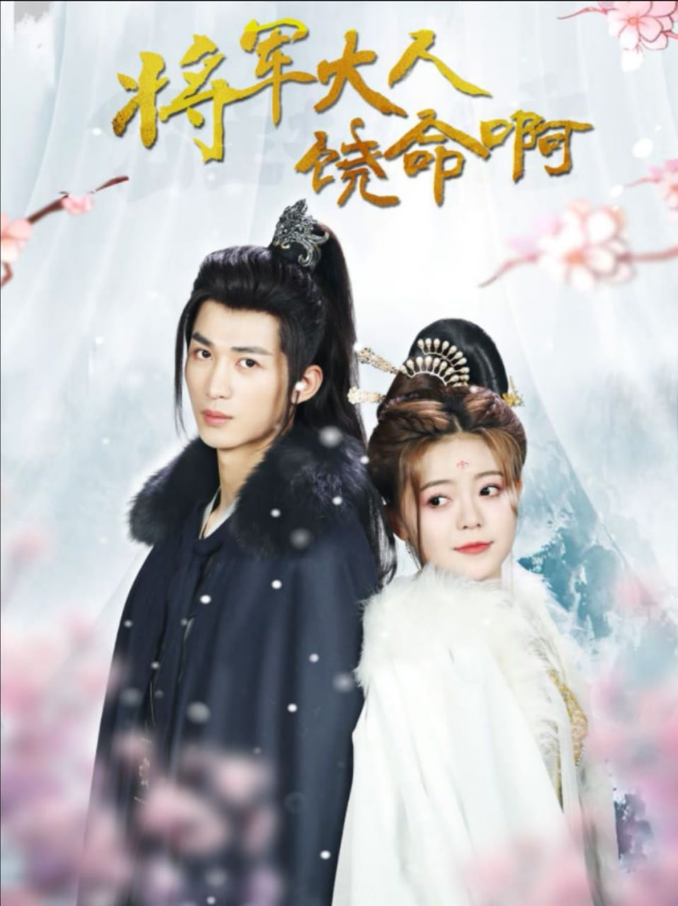 将军大人饶命啊封面图