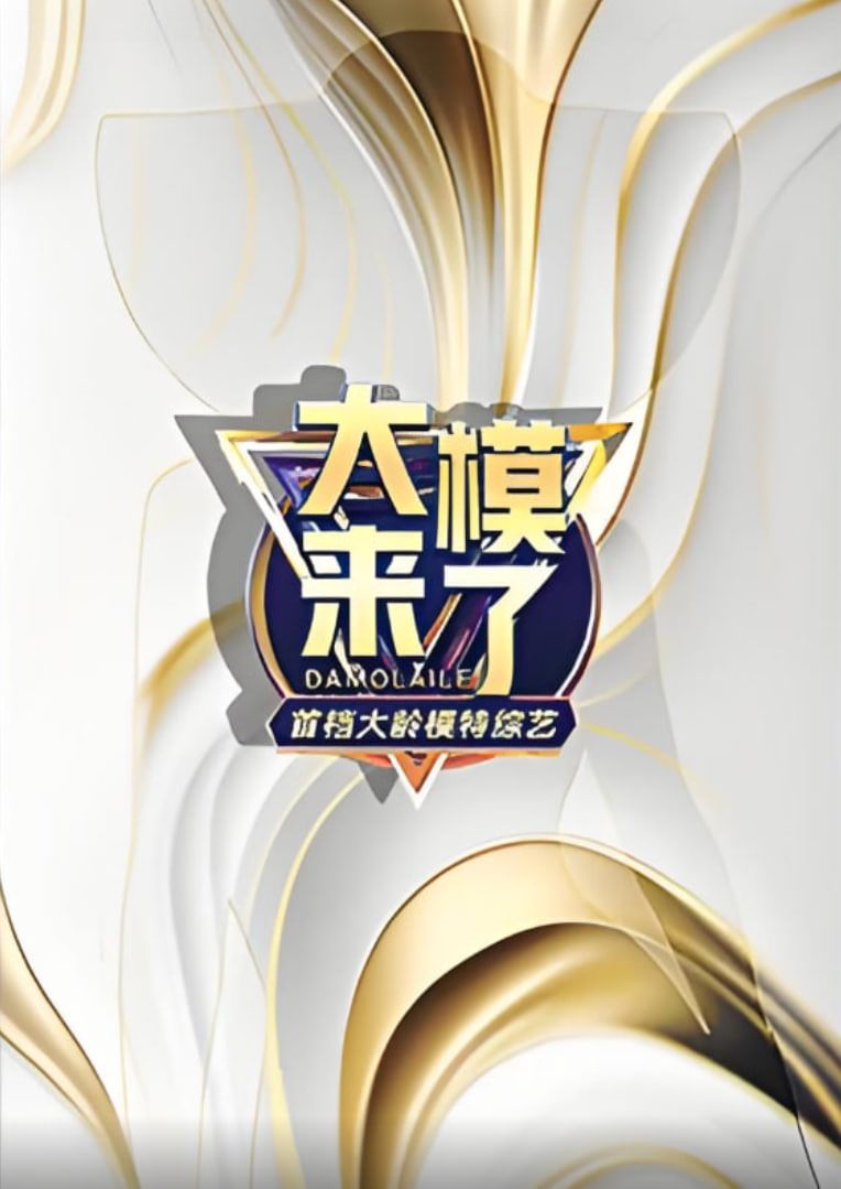 大模来了封面图