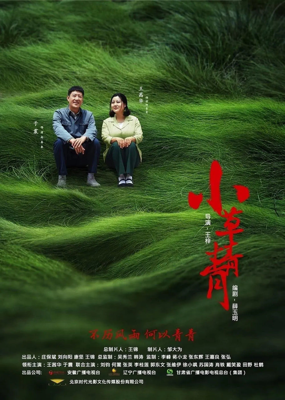 小草青青封面图