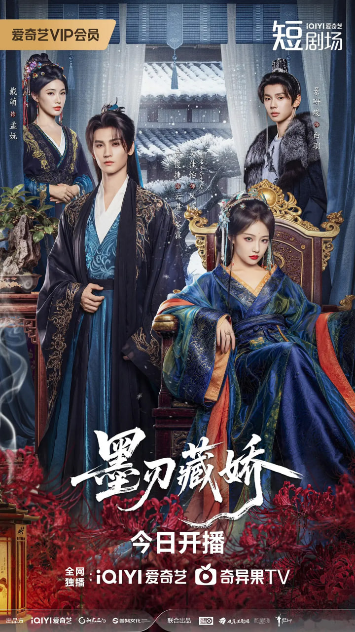墨刃藏娇封面图
