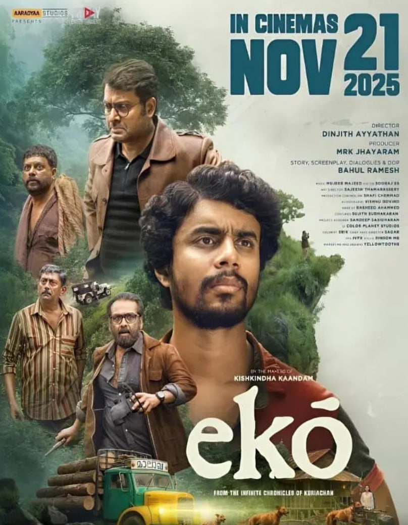 回声 2025封面图