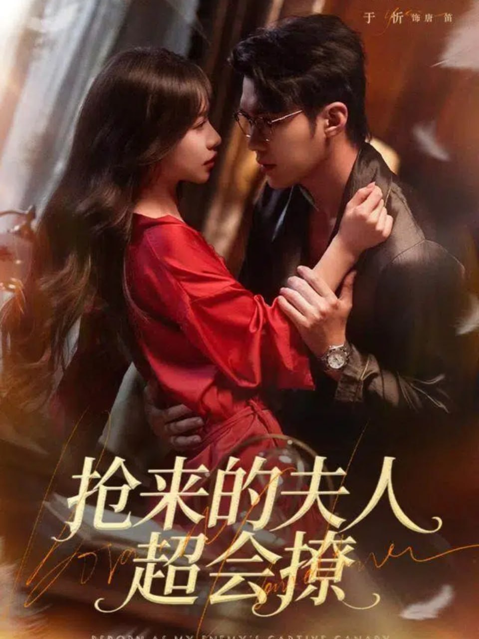 抢来的夫人超会撩封面图