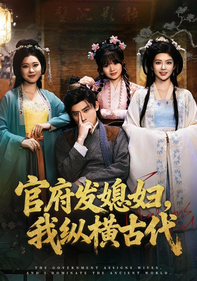 官府发媳妇，我纵横古代封面图