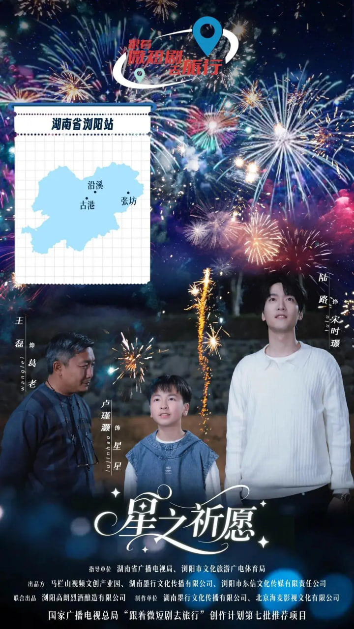 星之祈愿封面图