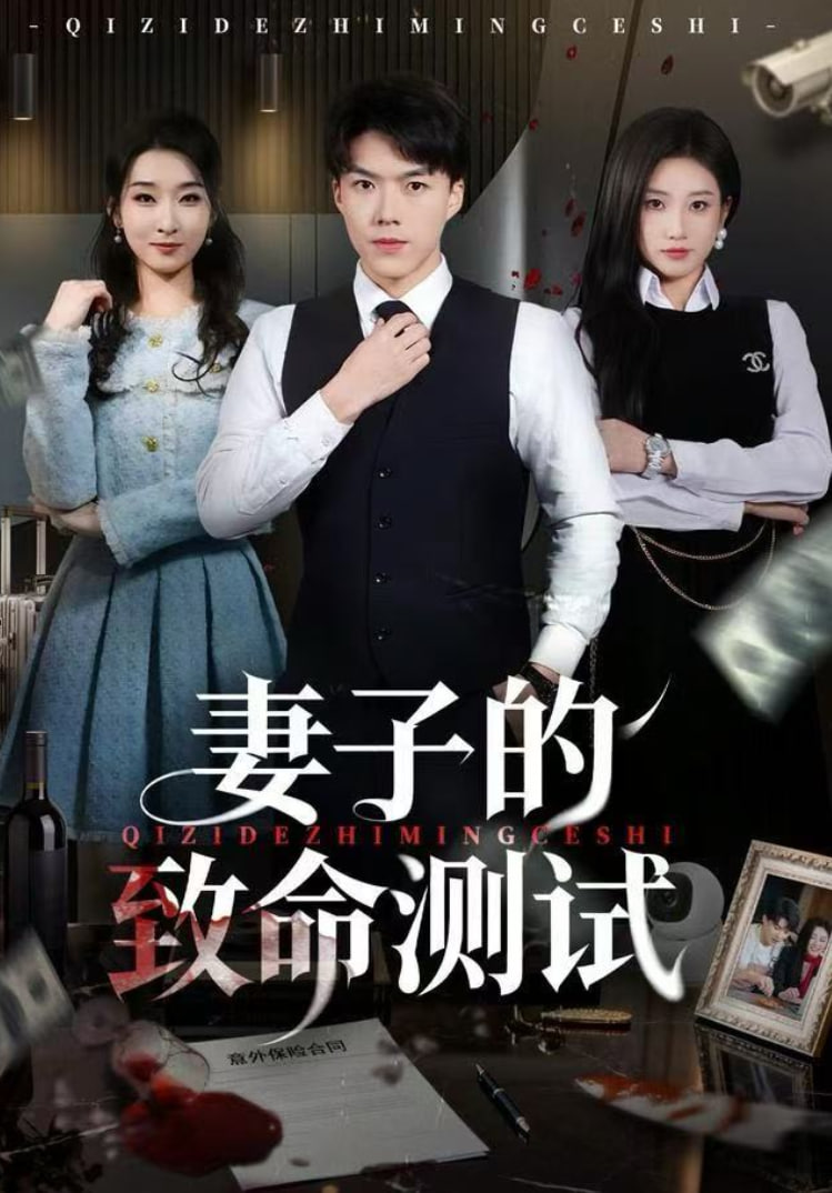 妻子的致命测试封面图