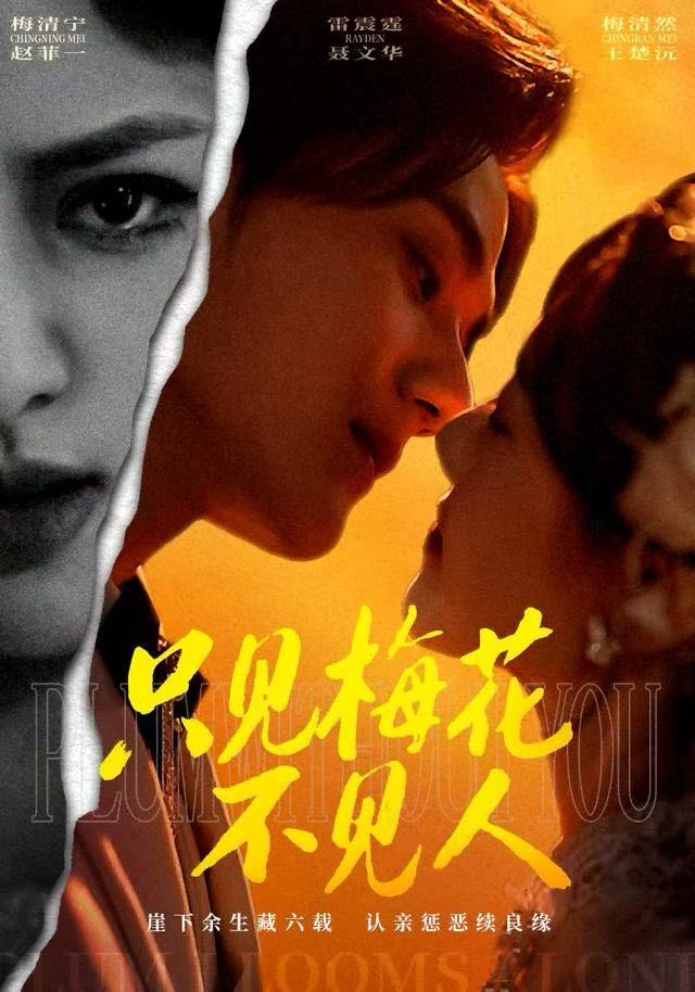 只见梅花不见人封面图