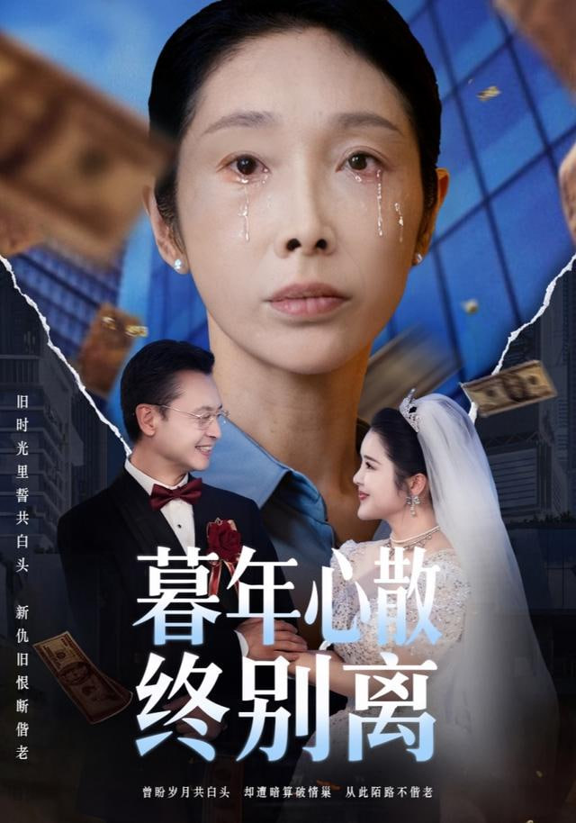 暮年心散终别离封面图