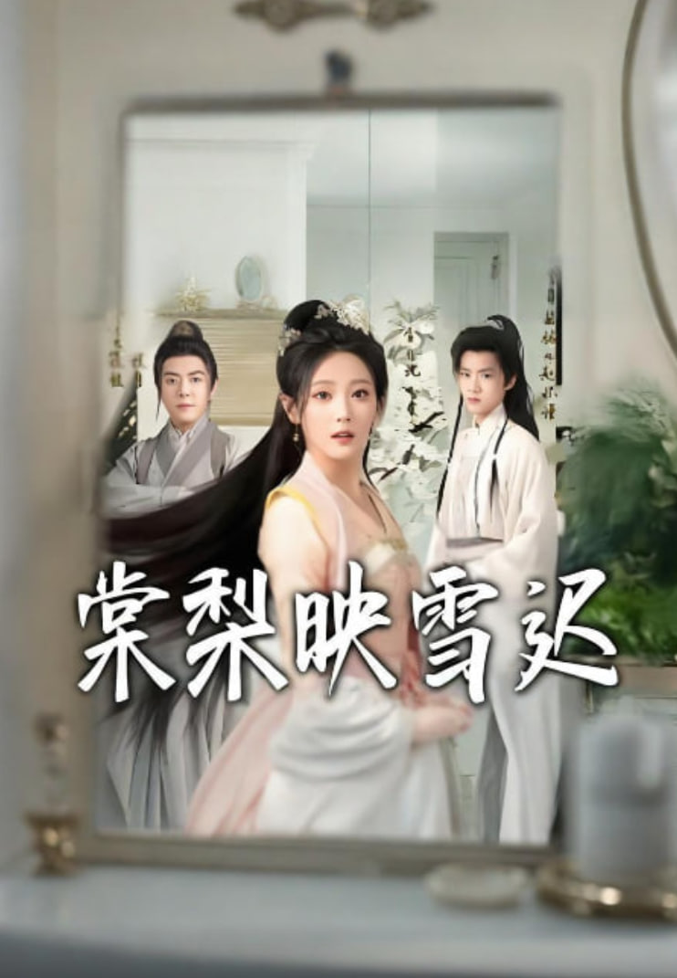 棠梨映雪迟封面图