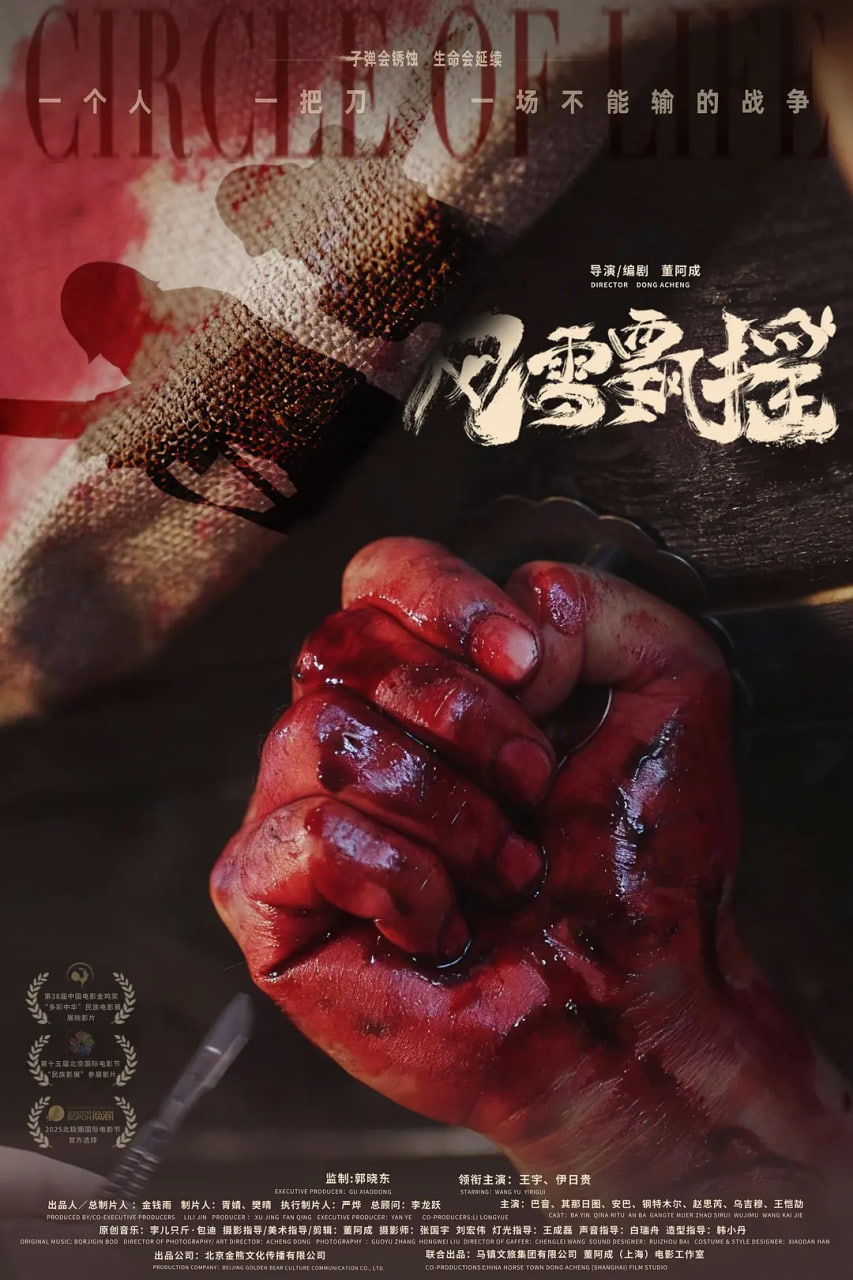 风雪飘摇封面图