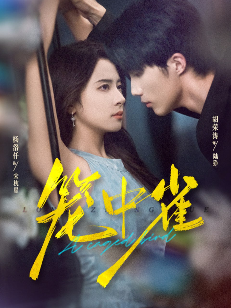 笼中雀 2025封面图