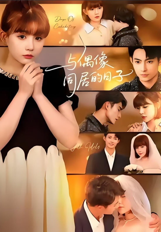 与偶像同居的日子封面图