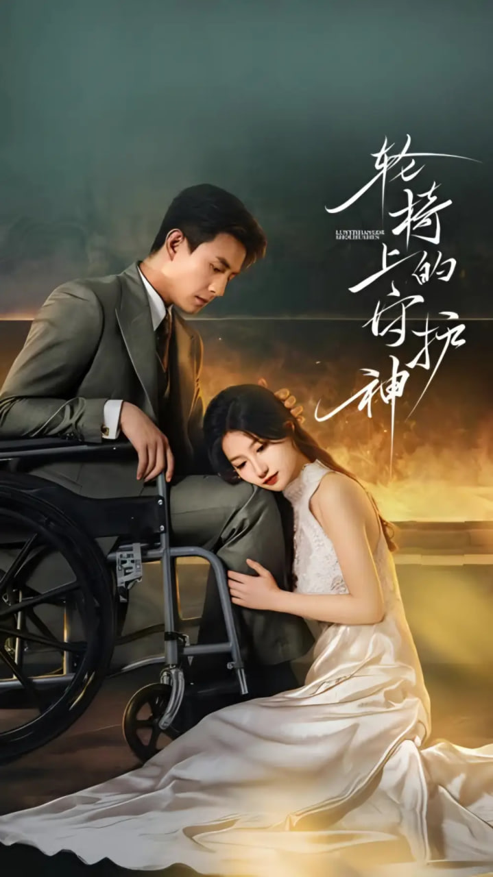 轮椅上的守护神封面图