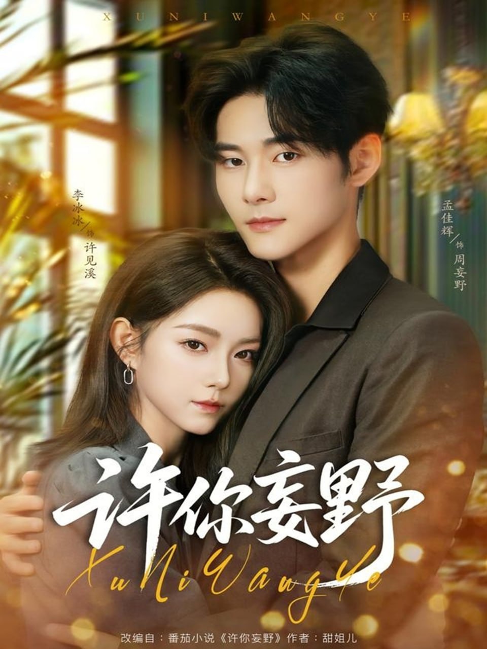 许你妄野封面图